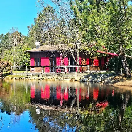 Maison Bois Au Coeur De La Foret Du Bassin D'arcachon Tatil Evi La Teste-de-Buch