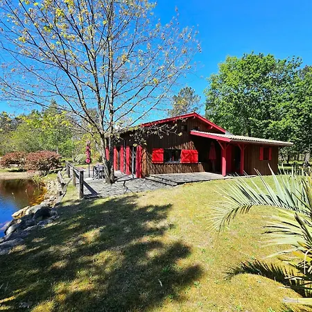 Maison Bois Au Coeur De La Foret Du Bassin D'arcachon *