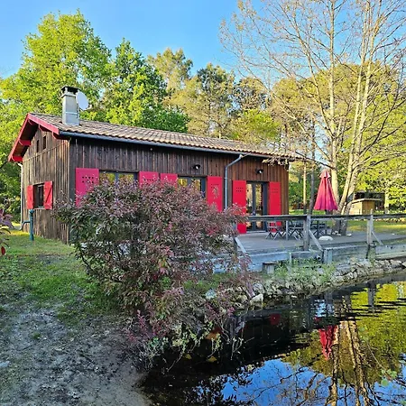 Maison Bois Au Coeur De La Foret Du Bassin D'arcachon