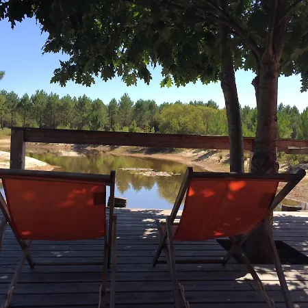 Maison Bois Au Coeur De La Foret Du Bassin D'arcachon