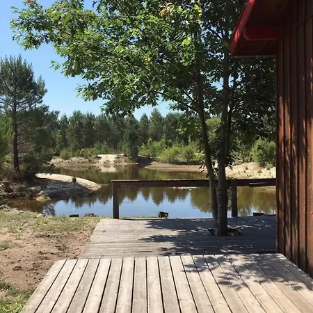 Maison Bois Au Coeur De La Foret Du Bassin D'arcachon La Teste-de-Buch
