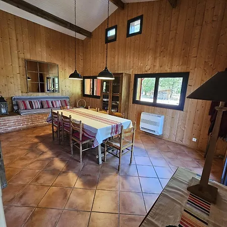 Maison Bois Au Coeur De La Foret Du Bassin D'arcachon Tatil Evi
