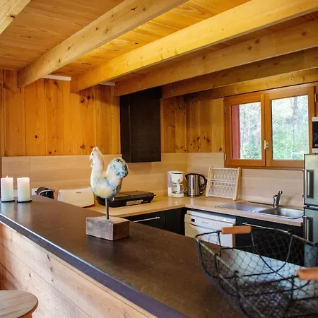 Prázdninový dům Maison Bois Au Coeur De La Foret Du Bassin D'arcachon La Teste-de-Buch