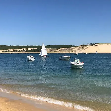 Tatil Evi Maison Bois Au Coeur De La Foret Du Bassin D'arcachon